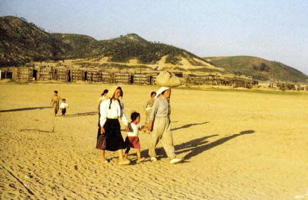 L20130807_22020193736i1.jpg 첨부 이미지