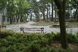 인문관 뒤편 정원 사진