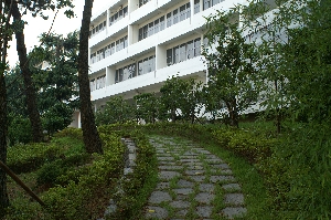 인문관 감나무길 사진