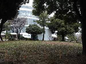 인문관 원형화단 꽃무릇