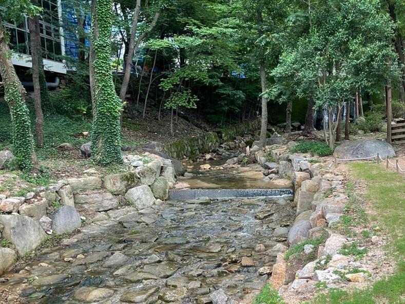 인문관 옆 미리내골 정비